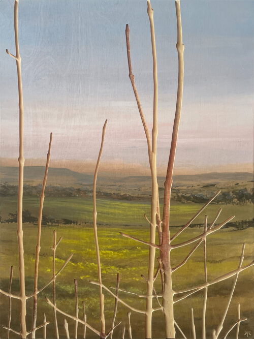 Thicket