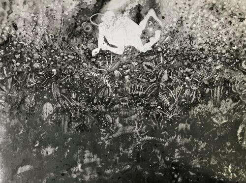 Flood Story: Insect Deluge