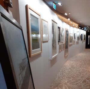 Collection Launch